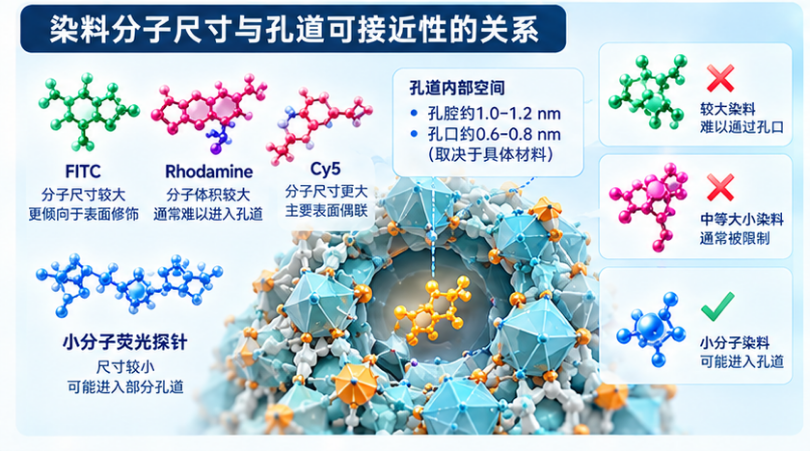 染料分子尺寸与孔道可接近性的关系