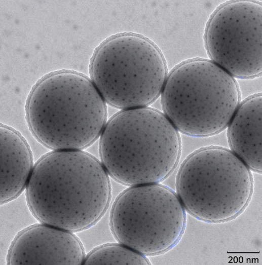 PAMAM-SiO2-CY5.5，二氧化硅纳米粒子-PAMAM-CY5.5复合物 R-686756