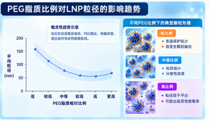 PEG脂质比例对LNP粒径的影响趋势