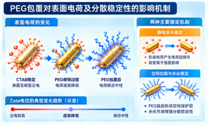 PEG包覆对表面电荷及分散稳定性的影响机制