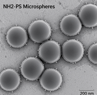 氨基化聚苯乙烯纳米微球，NH2-PS Microspheres R-536300