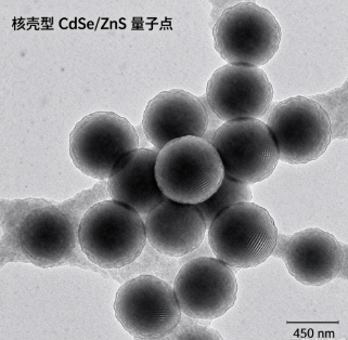 核壳型CdSe/ZnS量子点（450 nm），CdSe/ZnS core-shell QDs R-126425