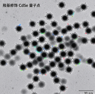 羧基修饰CdSe量子点（发光颜色可调），Tun QD-COOH R-675644