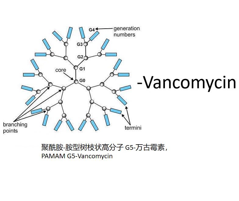 PAMAM G5-Vancomycin，聚酰胺-胺型树枝状高分子G5-万古霉素 R-809495