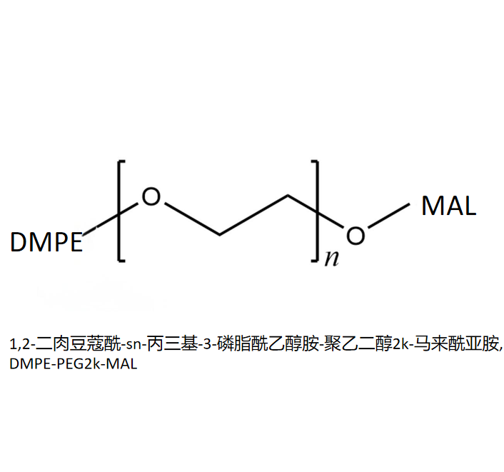 1,2-二肉豆蔻酰-sn-丙三基-3-磷脂酰乙醇胺-聚乙二醇2k-马来酰亚胺,DMPE-PEG2k-MAL R-468302