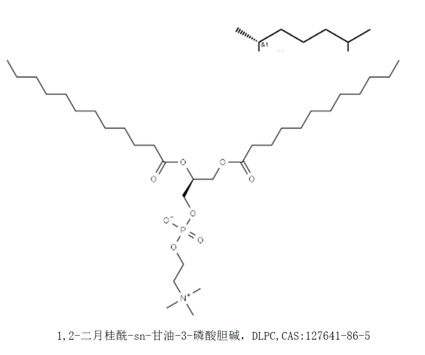 1,2-二月桂酰-sn-甘油-3-磷酸胆碱，DLPC,CAS:127641-86-5 R-757769