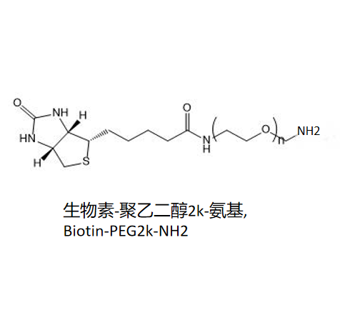 Biotin-PEG2k-NH2，生物素-聚乙二醇2k-氨基 R-743877