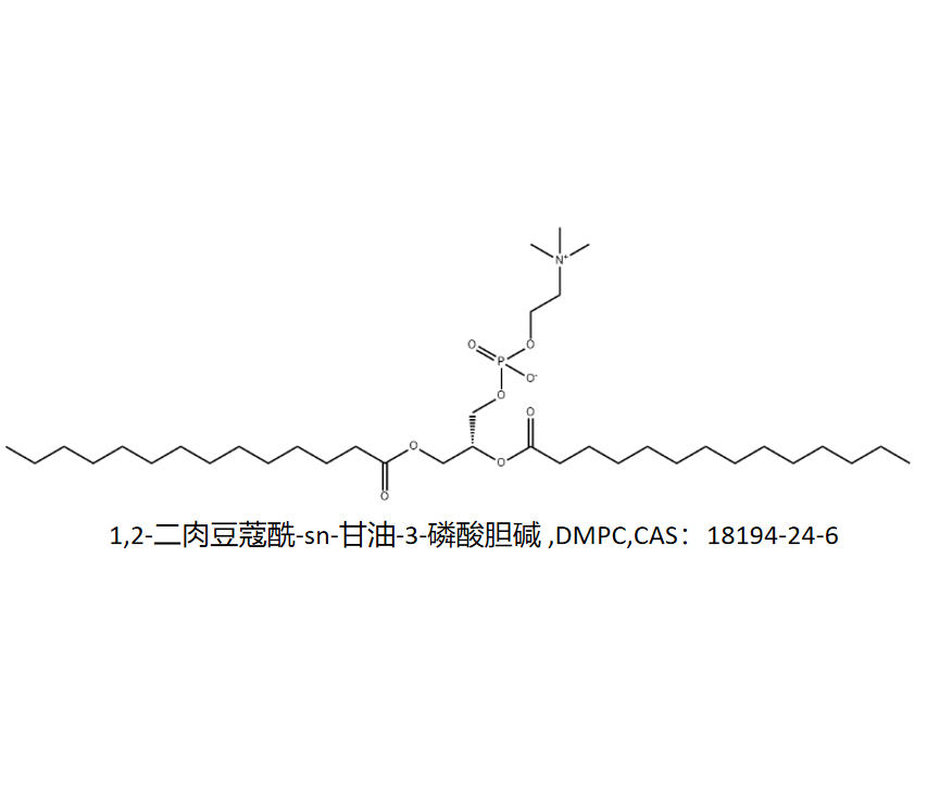 1,2-二肉豆蔻酰-sn-甘油-3-磷酸胆碱 ,DMPC,CAS：18194-24-6 R-514739