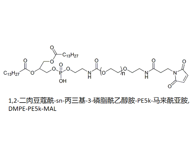 1,2-二肉豆蔻酰-sn-丙三基-3-磷脂酰乙醇胺-PE5k-马来酰亚胺,DMPE-PE5k-MAL R-376096