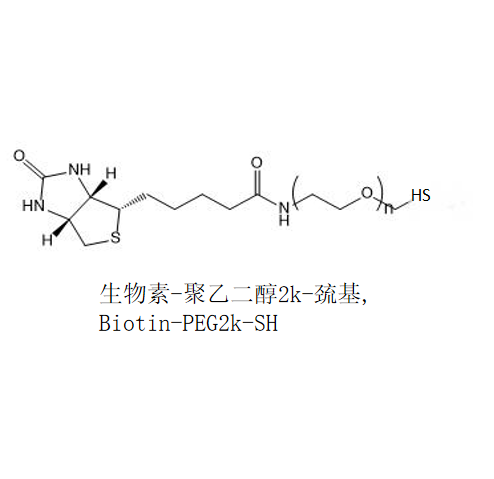 Biotin-PEG2k-SH,生物素-聚乙二醇2k-巯基 R-462730