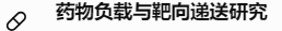 药物负载与靶向递送研究