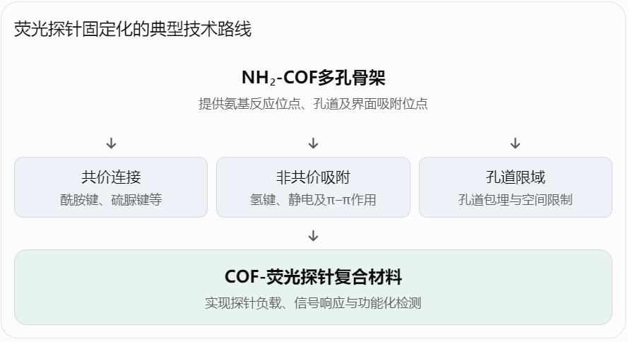 荧光探针固定化的典型技术路线