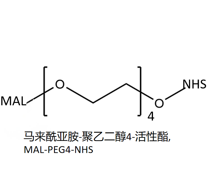 马来酰亚胺-聚乙二醇4-活性酯,MAL-PEG4-NHS R-396881
