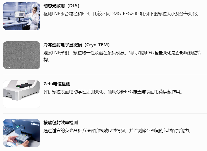 关键表征技术