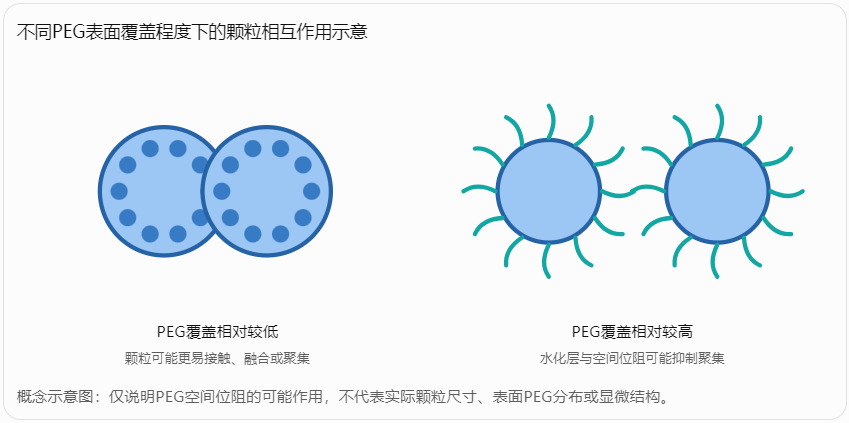 不同PEG表面覆盖程度下的颗粒相互作用示意