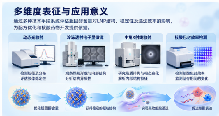 LNP多维度表征与应用意义