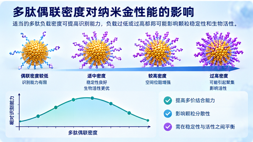 多肽偶联密度对纳米金性能的影响