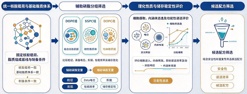 辅助磷脂筛选的研究流程