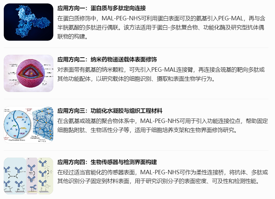 MAL-PEG-NHS在不同生物材料体系中的应用