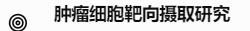 肿瘤细胞靶向摄取研究