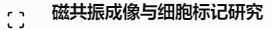 磁共振成像与细胞标记研究