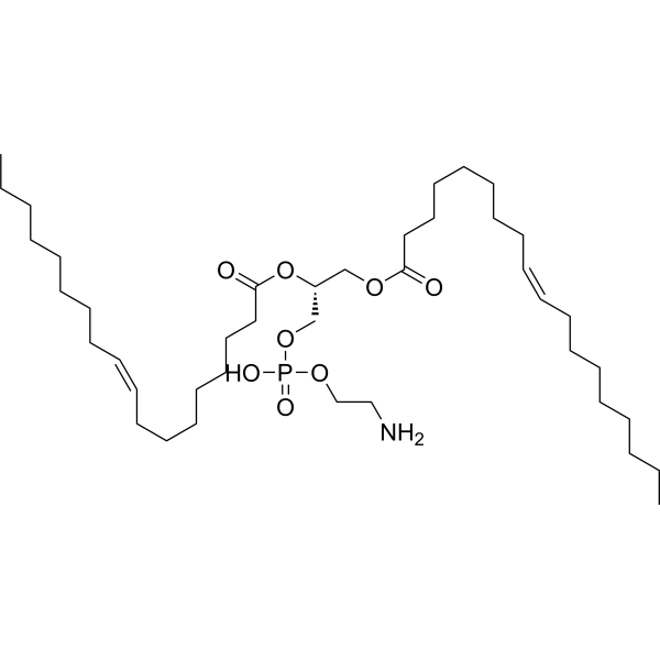 瑞禧生物DOPE在LNP内涵体逃逸研究中的作用及局限配图