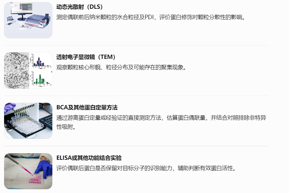 PLGA-PEG-COOH蛋白偶联体系的表征技术