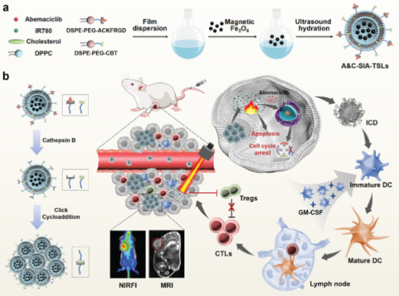 Two-Wave Variable Nanotheranostic Agents for Dual-Mode Imaging-Guided Photo-Induced Triple-Therapy for Cancer 配图