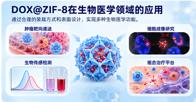 DOX@ZIF-8在生物医学领域的应用