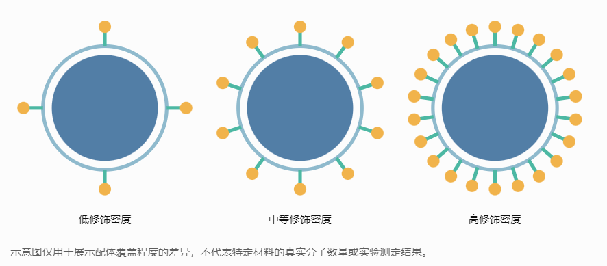 不同叶酸修饰密度的结构表现