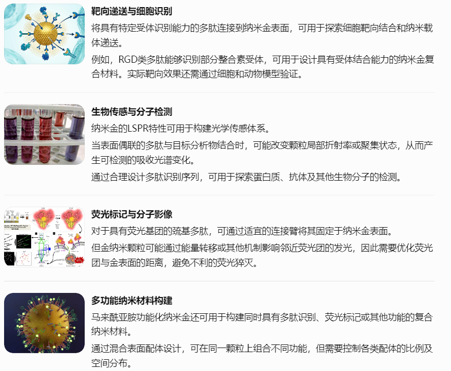 马来酰亚胺功能化纳米金在不同领域的应用