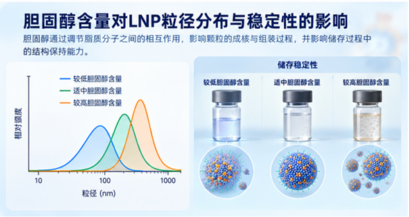 胆固醇含量对LNP粒径分布与稳定性的影响