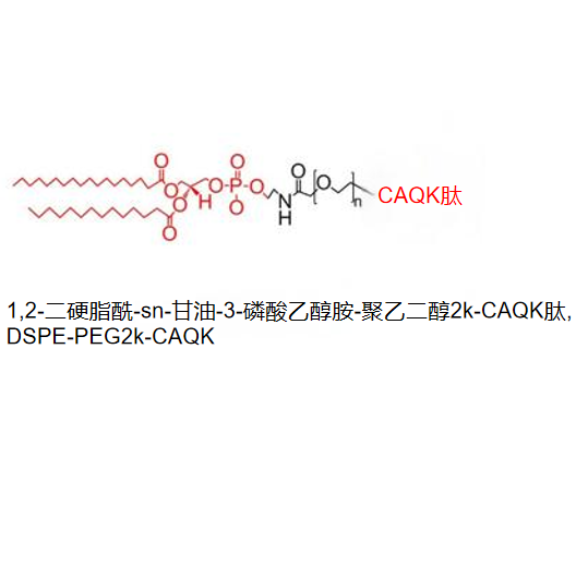 1,2-二硬脂酰-sn-甘油-3-磷酸乙醇胺-聚乙二醇2k-CAQK肽,DSPE-PEG2k-CAQK R-828735