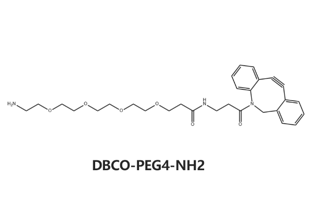 DBCO-PEG4-NH2，CAS:1255942-08-5，二苯并环辛炔-四聚乙二醇-氨基 R-428508