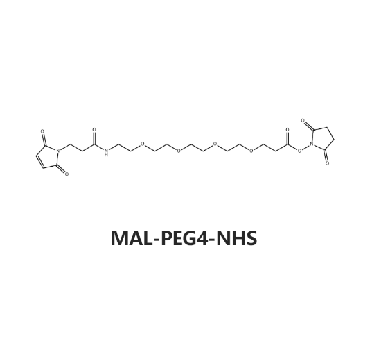 MAL-PEG4-NHS，CAS:1325208-25-0，马来酰亚胺-四聚乙二醇-琥珀酰亚胺酯 R-144254