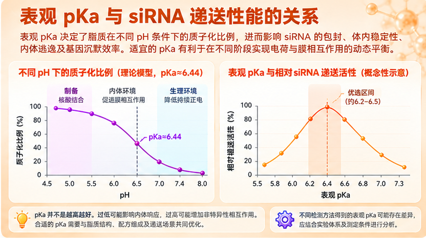 表观pKa与 siRNA递送性能的关系