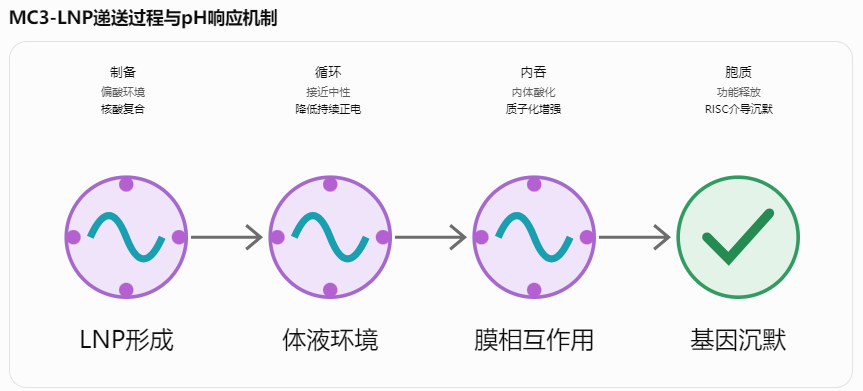 MC3-LNP递送过程与pH响应机制
