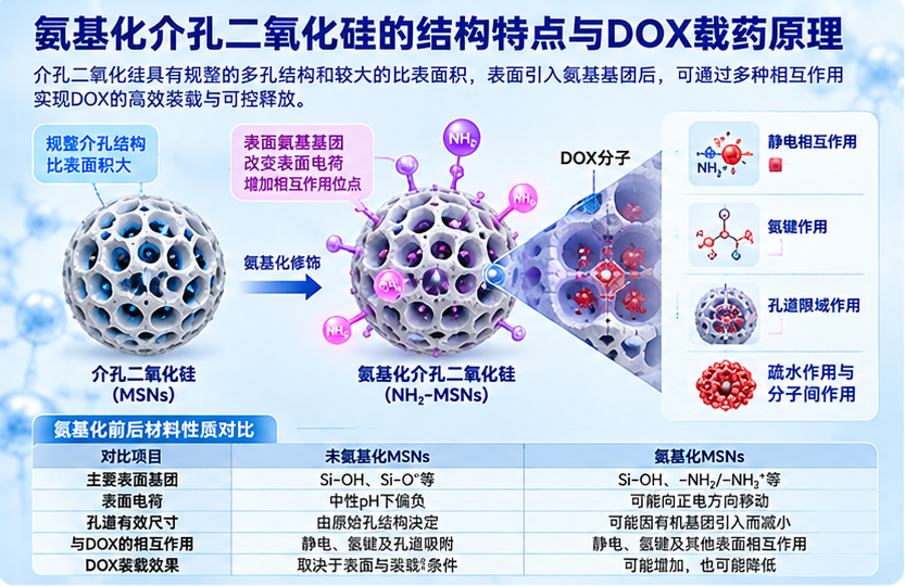 瑞禧生物氨基化介孔二氧化硅对DOX载药量的影响因素：从孔道结构、表面电荷到药物释放的系统分析配图