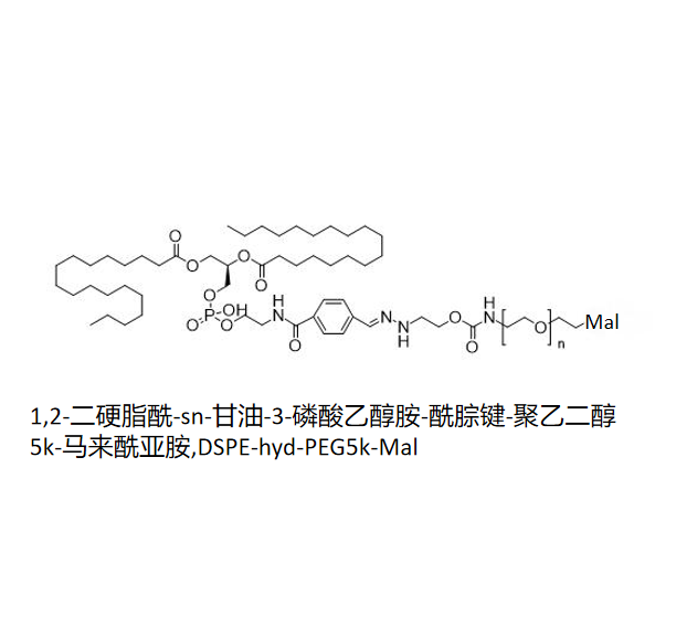 1,2-二硬脂酰-sn-甘油-3-磷酸乙醇胺-酰腙键-聚乙二醇5k-马来酰亚胺,DSPE-hyd-PEG5k-Mal R-150179