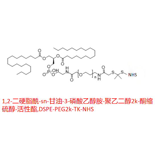 1,2-二硬脂酰-sn-甘油-3-磷酸乙醇胺-聚乙二醇2k-酮缩硫醇-活性酯,DSPE-PEG2k-TK-NHS R-141678