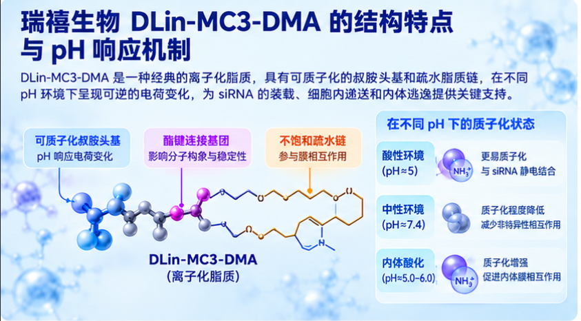 瑞禧生物DLin-MC3-DMA的表观pKa与siRNA递送性能之间的关系：从脂质质子化到内体逃逸的机制解析配图