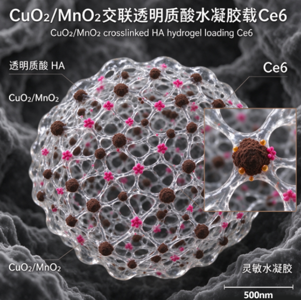 CuO2/MnO2交联透明质酸水凝胶载Ce6，过氧化铜二氧化锰交联透明质酸载Ce6光敏水凝胶 R-478303