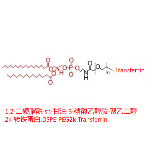 1,2-二硬脂酰-sn-甘油-3-磷酸乙醇胺-聚乙二醇2k-转铁蛋白,DSPE-PEG2k-Transferrin R-414589
