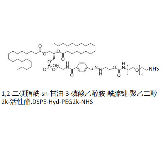 1,2-二硬脂酰-sn-甘油-3-磷酸乙醇胺-酰腙键-聚乙二醇2k-活性酯,DSPE-Hyd-PEG2k-NHS R-527809