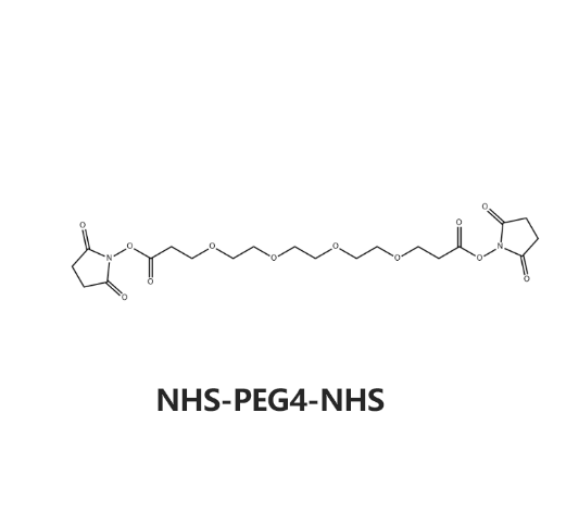 NHS-PEG4-NHS，CAS:1314378-11-4，琥珀酰亚胺酯-四聚乙二醇-琥珀酰亚胺酯 R-290232