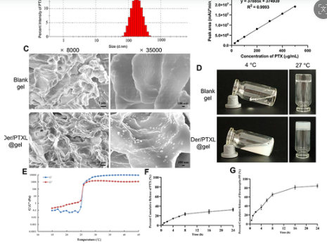 Combined Thermosensitive Gel CoLoaded with DermaseptinPP and PTX Liposomes for Effective Local Chemotherapy  配图