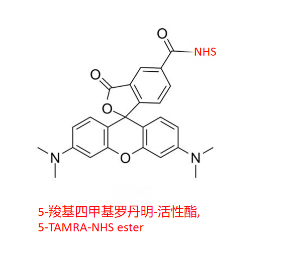 5-羧基四甲基罗丹明-活性酯,5-TAMRA-NHS ester R-855247