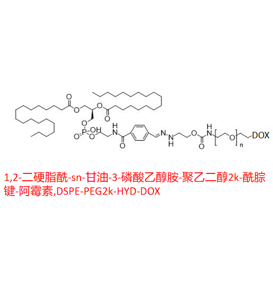 1,2-二硬脂酰-sn-甘油-3-磷酸乙醇胺-聚乙二醇2k-酰腙键-阿霉素,DSPE-PEG2k-HYD-DOX R-234368