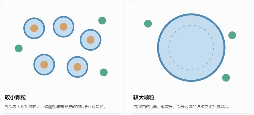 颗粒尺寸与PBS结构稳定性的概念关系