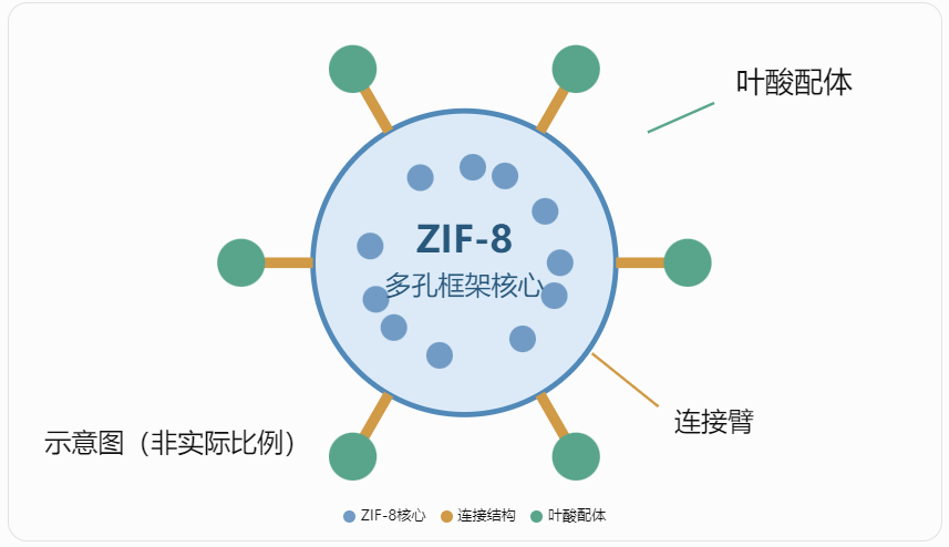 FA-ZIF-8纳米递送体系的结构组成
